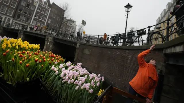 Bagi-Bagi Bunga Tulip Gratis Usai Lockdown di Belanda