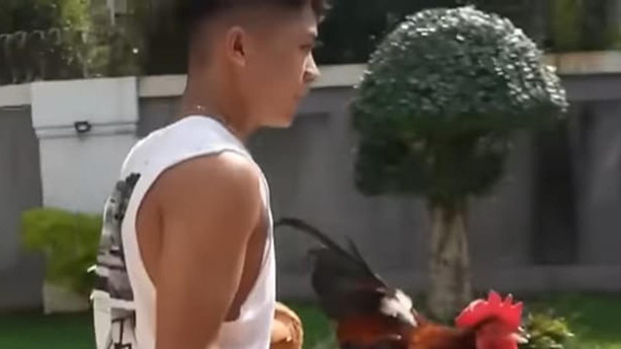 Dok. Istimewa
