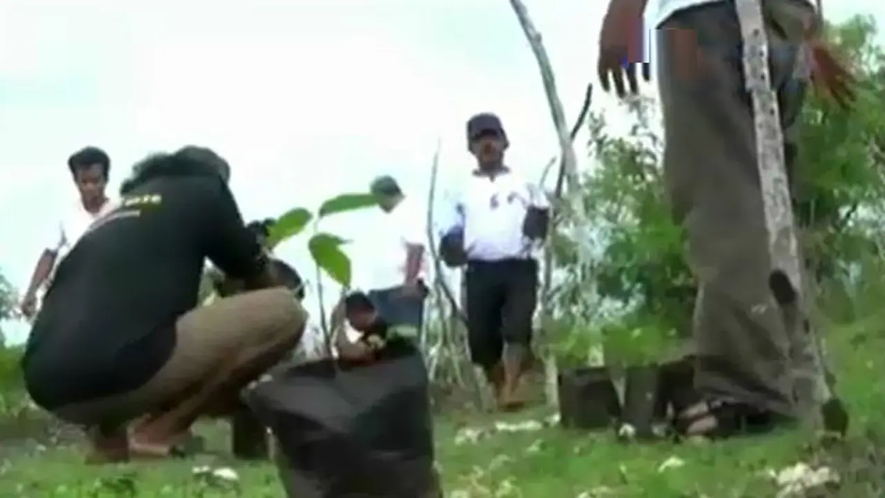 Tanam-Pohon