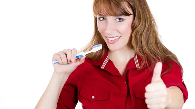 copyright by Shutterstock.com