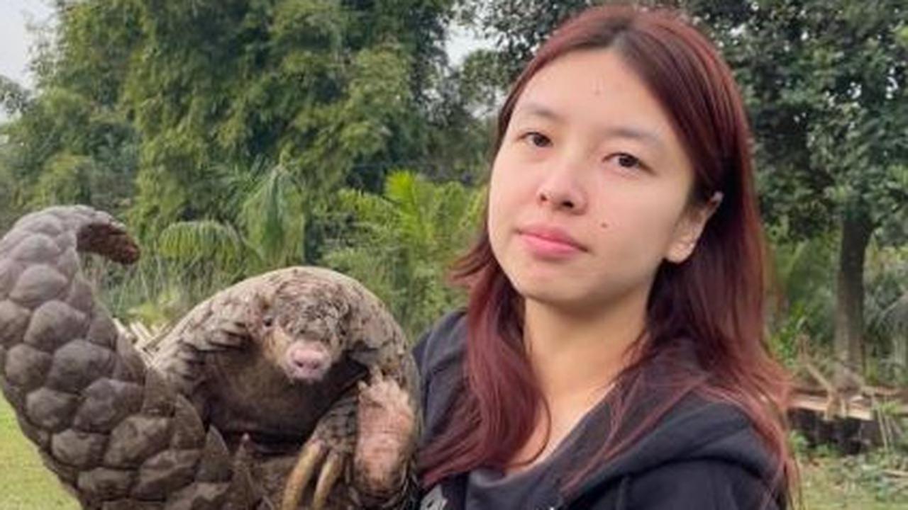 Ilmuwan Temukan Spesies Baru Mamalia dari Hewan Langka Sitaan Polisi
