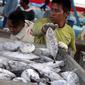 Menteri Kelautan dan Perikanan (KKP) Susi Pudjiastuti menargetkan tahun 2015 harga ikan tidak mahal lagi dan Industri perikanan Indonesia bisa mengekspor ikan ke luar negeri,  Jakarta, Minggu (11/1/2015). (Liputan6.com/Faizal Fanani)