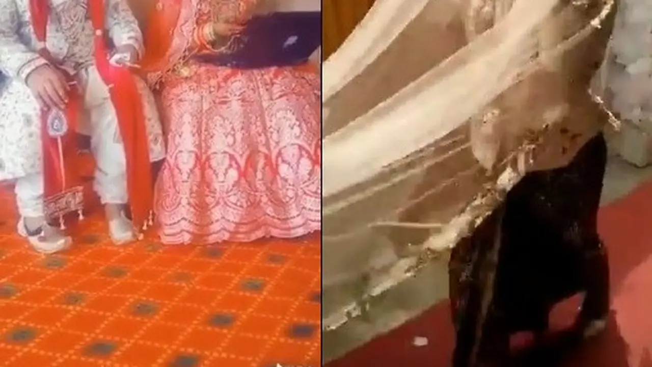 penganten absurd
