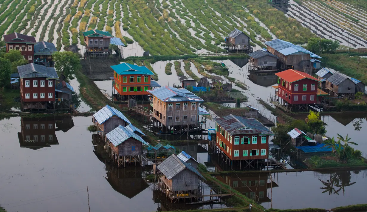 Rumah-rumah panggung berjajar di antara perkebunan sayur yang berada di kampung terapung Danau Inle, Negara Bagian Shan, Myanmar, Senin (18/2). Danau ini menjadi sumber kehidupan bagi suku Intha yang mendiami perairan Inle. (Ye Aung THU/AFP)