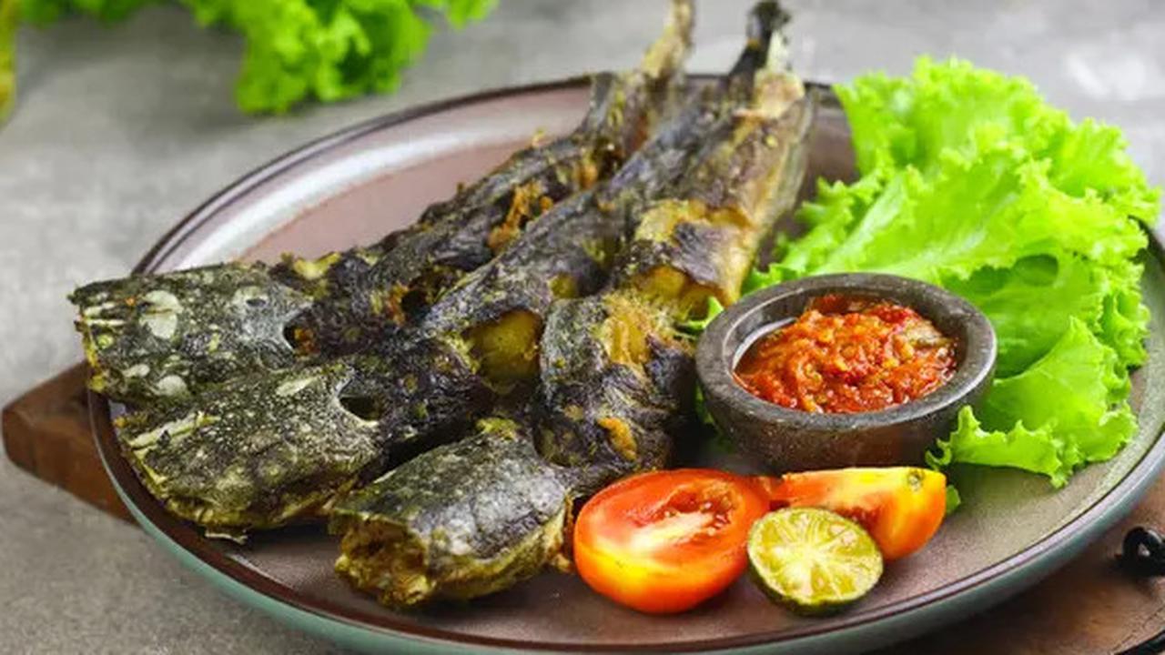 Apakah Ikan Lele Mengandung Kolesterol? Cermati Kandungan Nutrisi & Manfaatnya