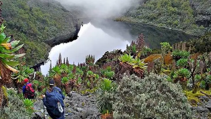 Taman Nasional Rwenzori, Uganda