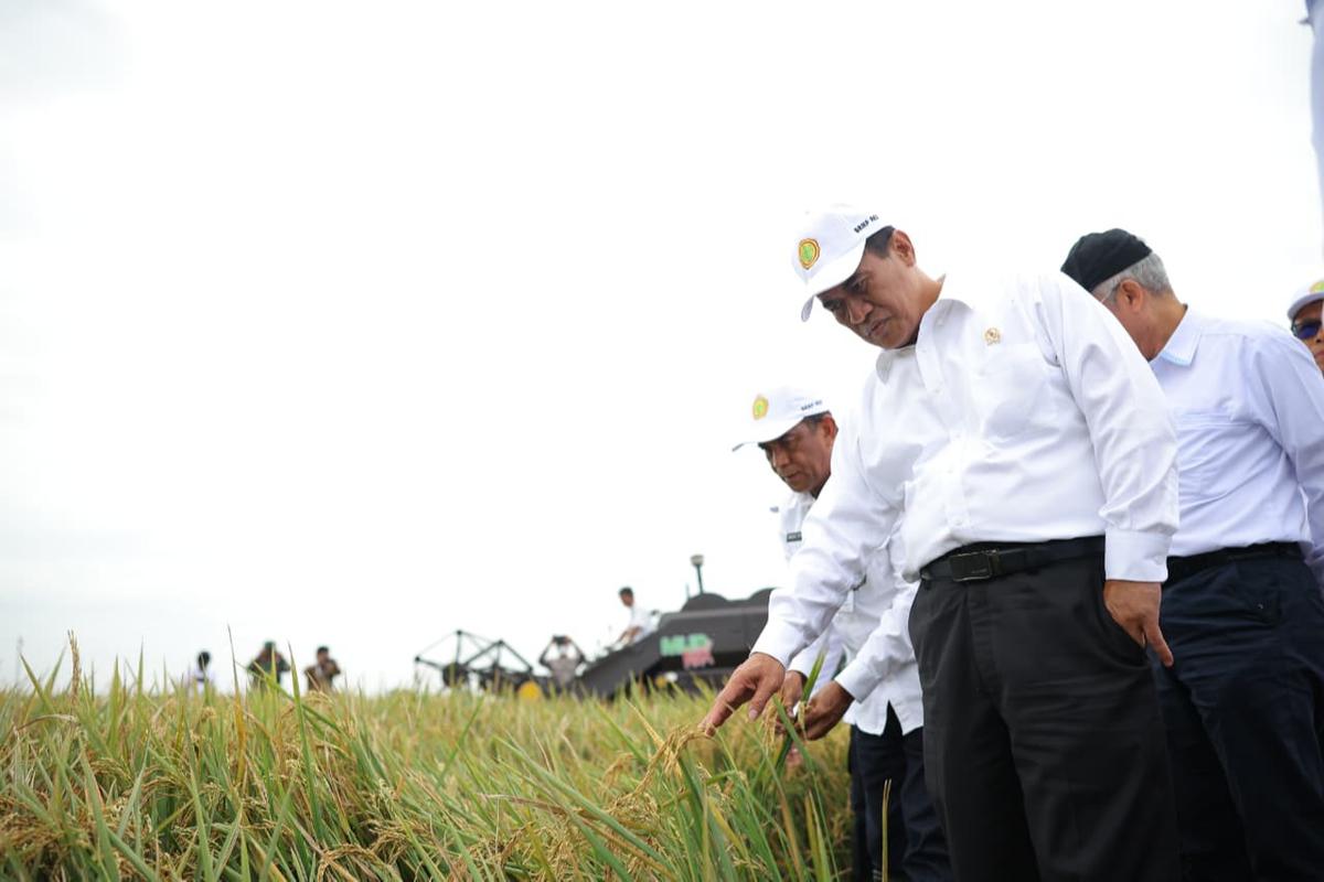 Mentan Amran Copot Pejabat Eselon II dan III karena Indisipliner: Ini Amanah Rakyat, Tidak Boleh Disalahgunakan