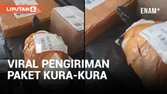 VIRAL PENGIRIMAN PAKET KURA-KURA HANYA DISOLASI DAN DIPAKAIKAN PAMPERS, KOK JAHAT SIH?