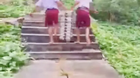 Viral Murid SD Nias Selatan Angkut Tumpukan Ompreng MBG Lewati Jalan Curam
