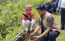 Trivia: PTPN I Tanam Pohon di Kaki Gunung Salak, Ribuan Bibit Ditanam untuk Ekosistem Berkelanjutan