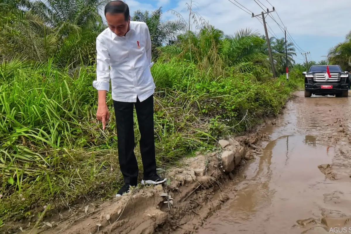 Jokowi Mendadak Cek Jalan Rusak di Labuan Batu Utara yang Sempat Viral