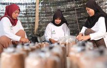 Dorong Kemandirian Ekonomi, Pelaku UMKM Jamur Tiram Diberi Pelatihan untuk Tingkatkan Kapasitas
