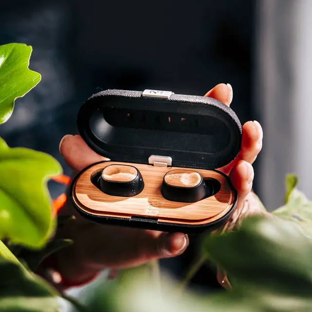 Earbud