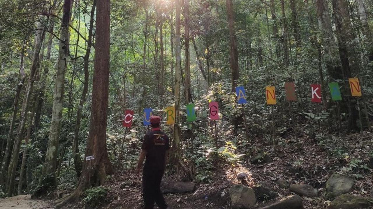 Jasa Lingkungan Hutan: Potensi PAD Lampung Melalui Perhutanan Sosial