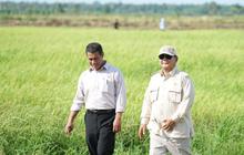 Berkat Petani dan Kebijakan Presiden, Ketahanan Pangan Indonesia Kokoh di Tengah Krisis Global
