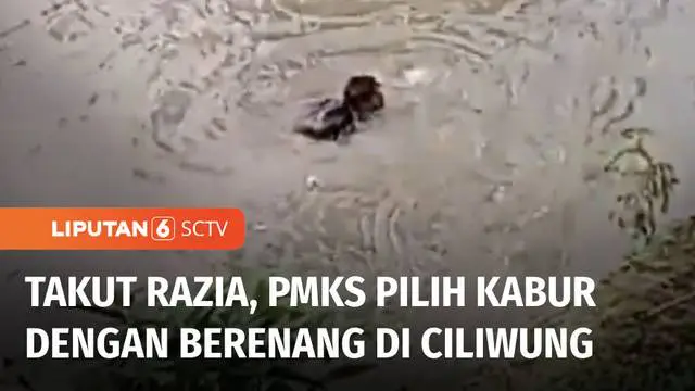 Seorang penyandang masalah kesejahteraan sosial (PMKS), nekat lompat ke aliran kali Ciliwung, Jakarta Pusat. Aksi ini dilakukan karena PMKS itu takut terjaring razia petugas.