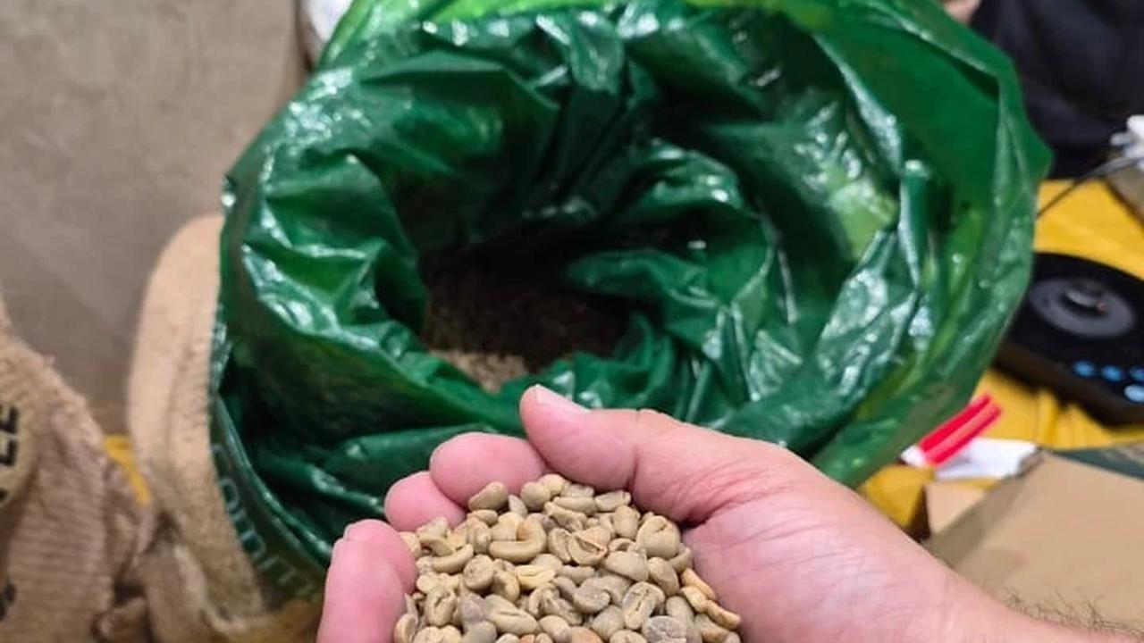Kopi Alko Kerinci Jambi Hadir di Pasar Malaysia, Pencinta Kopi Semakin Dimanjakan oleh Kopi Indonesia