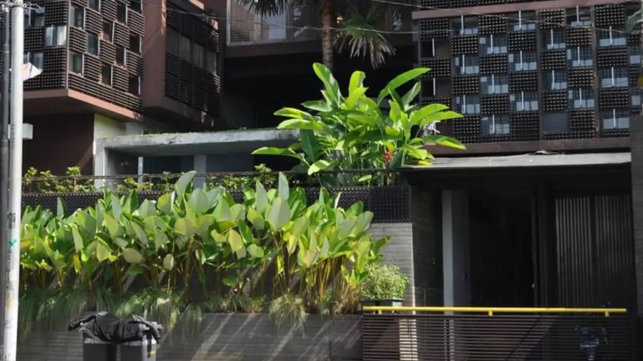 Menengok Rumah Ridwan Kamil di Bandung, Ada 30 Ribu Botol dan Berkonsep Ramah Lingkungan