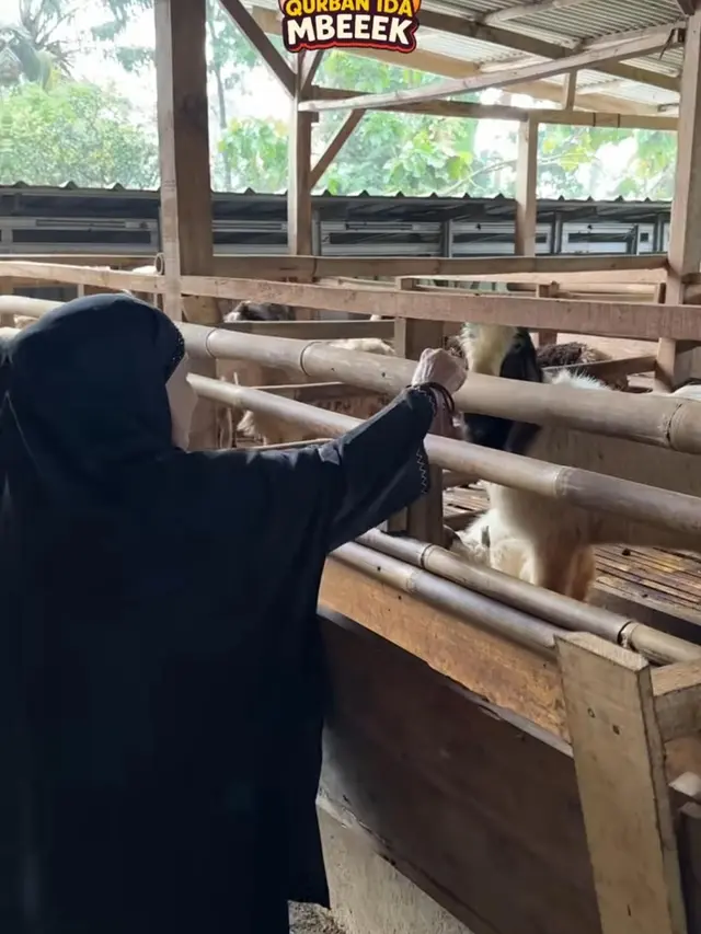 Potret Kandang Kambing Ibu Fadil Jaidi