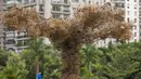 <p>Seorang pria berjalan melewati instalasi seni karya seniman Brasil Eduardo Srur yang menggambarkan sebuah pohon terbuat dari ratusan sangkar burung sitaan polisi lingkungan dari pedagang hewan di Taman Parque do Povo, Sao Paulo, Brasil, 6 Mei 2022. Menurut Eduardo Srur, pameran "Vida Livre" atau "Kehidupan Bebas" bertujuan memprovokasi masyarakat agar memikirkan kembali budaya hewan yang terperangkap untuk hiburan manusia. (AP Photo/Andre Penner)</p>