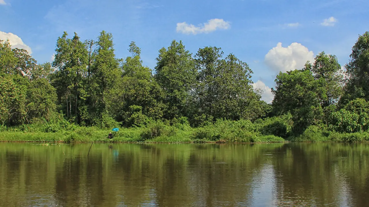 Hutan Wisata Punti Kayu