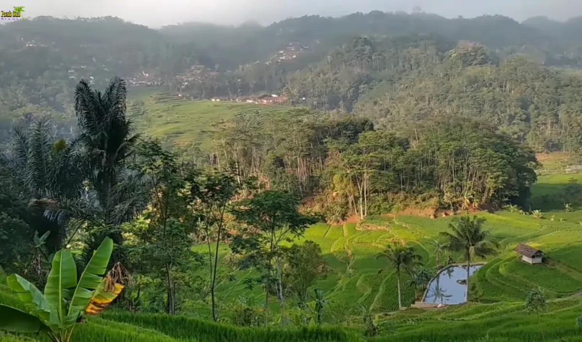 Sawah terasering mendominasi