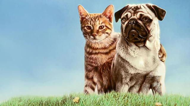 The Adventures of Milo and Otis (1986)