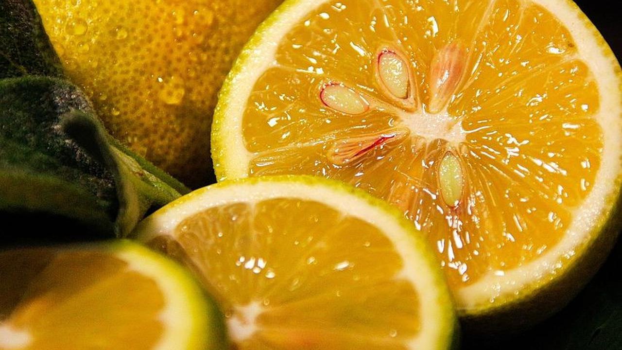 Manfaat Biji Jeruk untuk Kesehatan