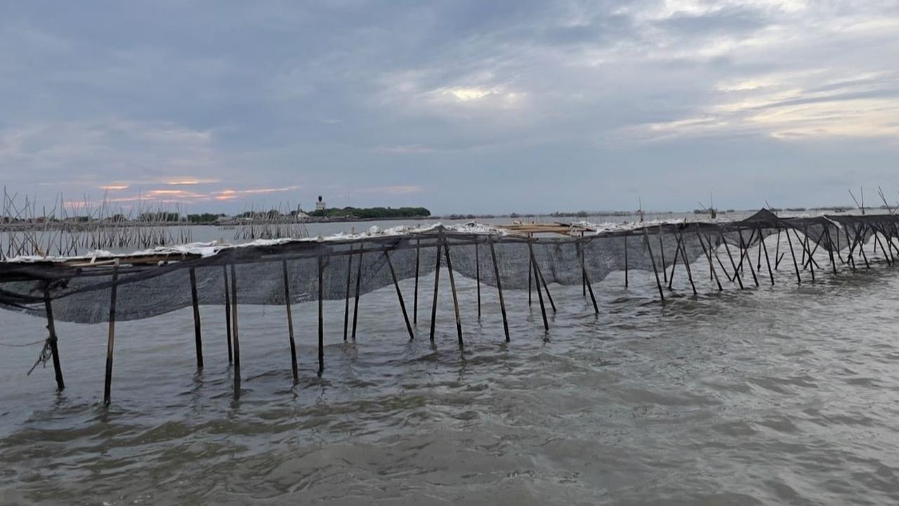 Penampakan Terkini Pagar Laut Misterius di Tangerang