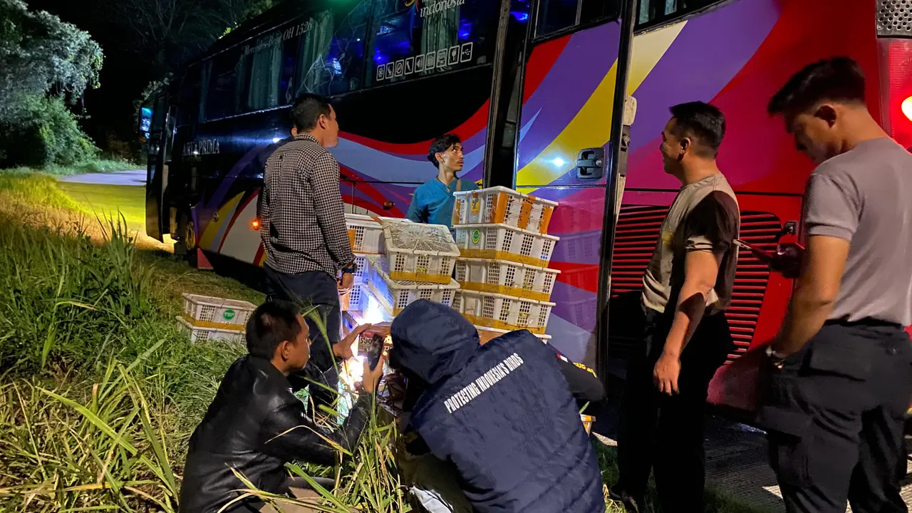 Patroli Senyap di Tahura Wan Abdul Rachman, Menjaga Burung dari Jerat Pemburu Liar