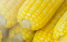 Intip Cara Rahasia Merebus Jagung dalam 10 Menit