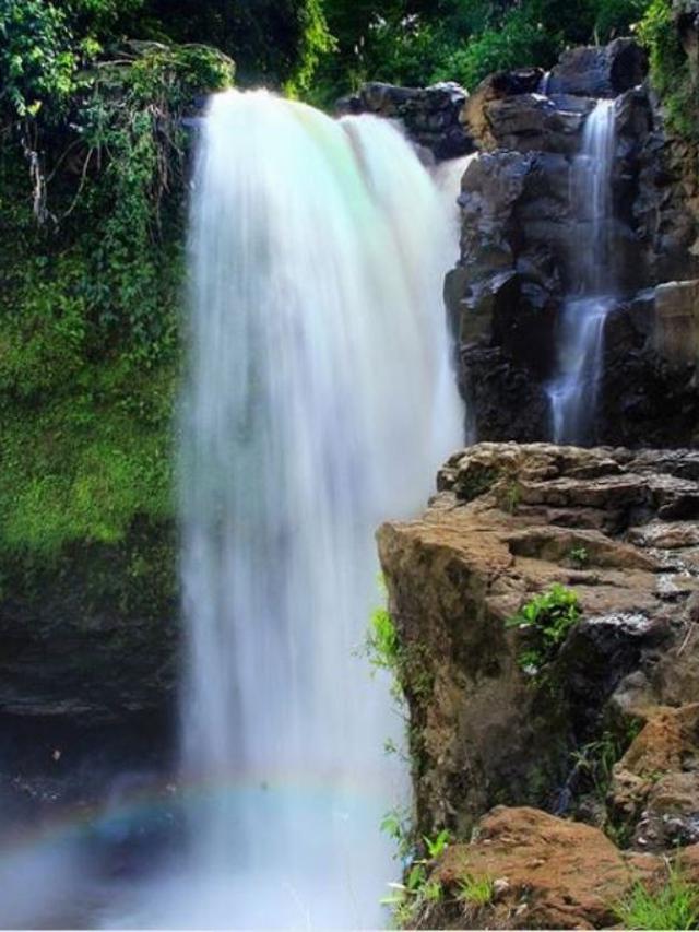 Mengenal Desa Wisata Blangsinga  Tempat Pernikahan Putra 