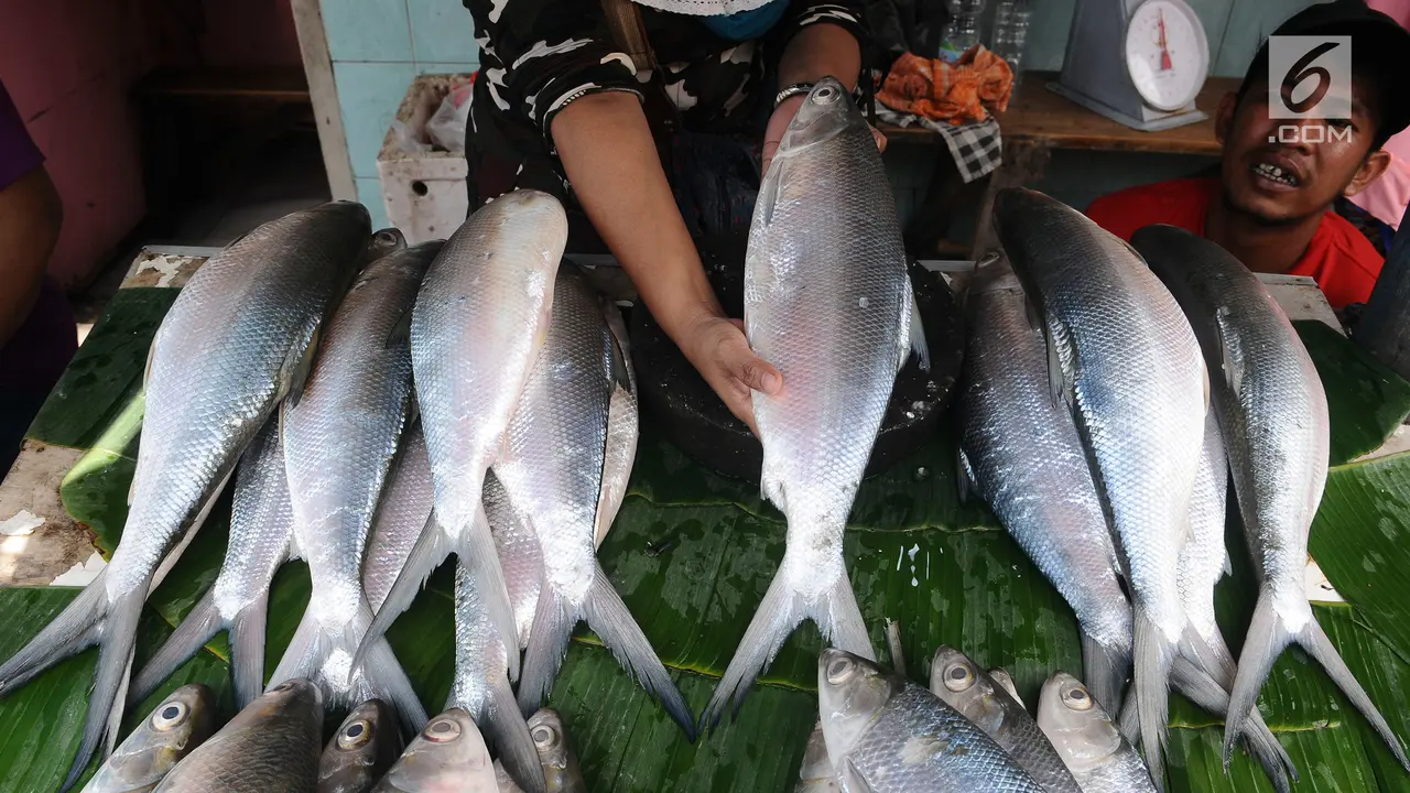 Penjualan Ikan Bandeng Rawa Belong Melonjak Jelang Imlek