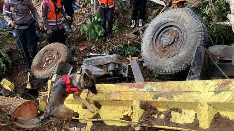 Anjing pelacak Unit K9 Polri diterjunkan cari korban gempa Cianjur