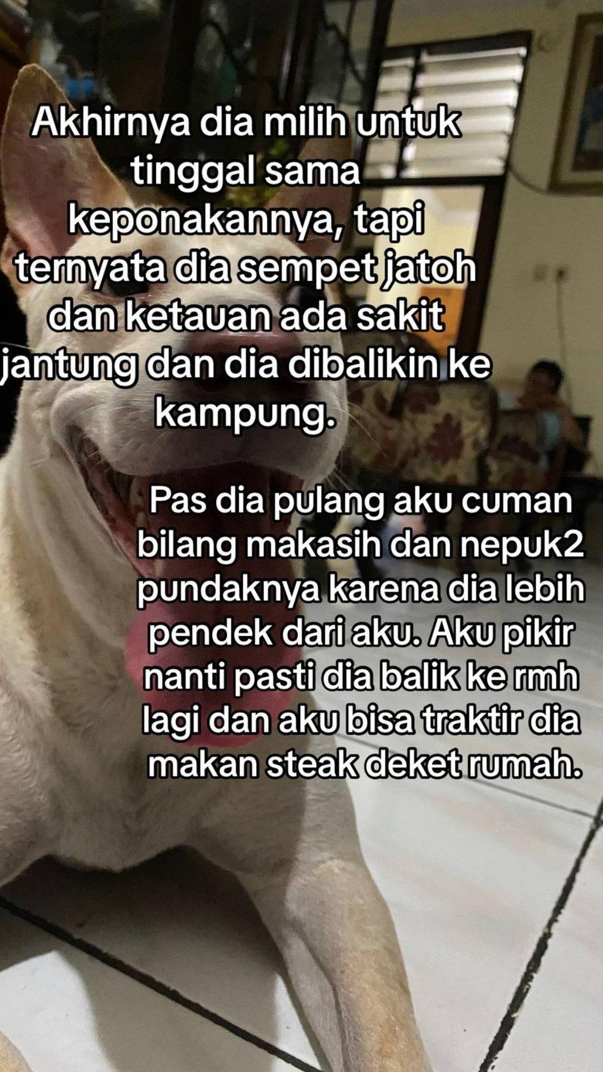 Dok. Istimewa