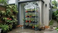 Cara Membuat Greenhouse Mini dari Rak dan Plastik Transparan, Bisa Dibuat dengan Budget Terjangkau