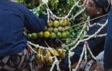 Mengenal Tradisi Yasa Peksi Burak, Cara Unik Keraton Yogyakarta Peringati Isra Mikraj