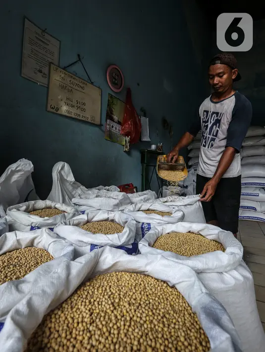 Pekerja memilah kedelai di gudang penyimpanan di Kawasan Kebayoran Lama, Jakarta, Kamis (14/1/2021). Kemendag memperkirakan harga kedelai global masih bertahan di level tinggi sampai Mei 2021 akibat ketatnya pasokan dari negara produsen dan naiknya permintaan. (Liputan6.com/Johan Tallo)