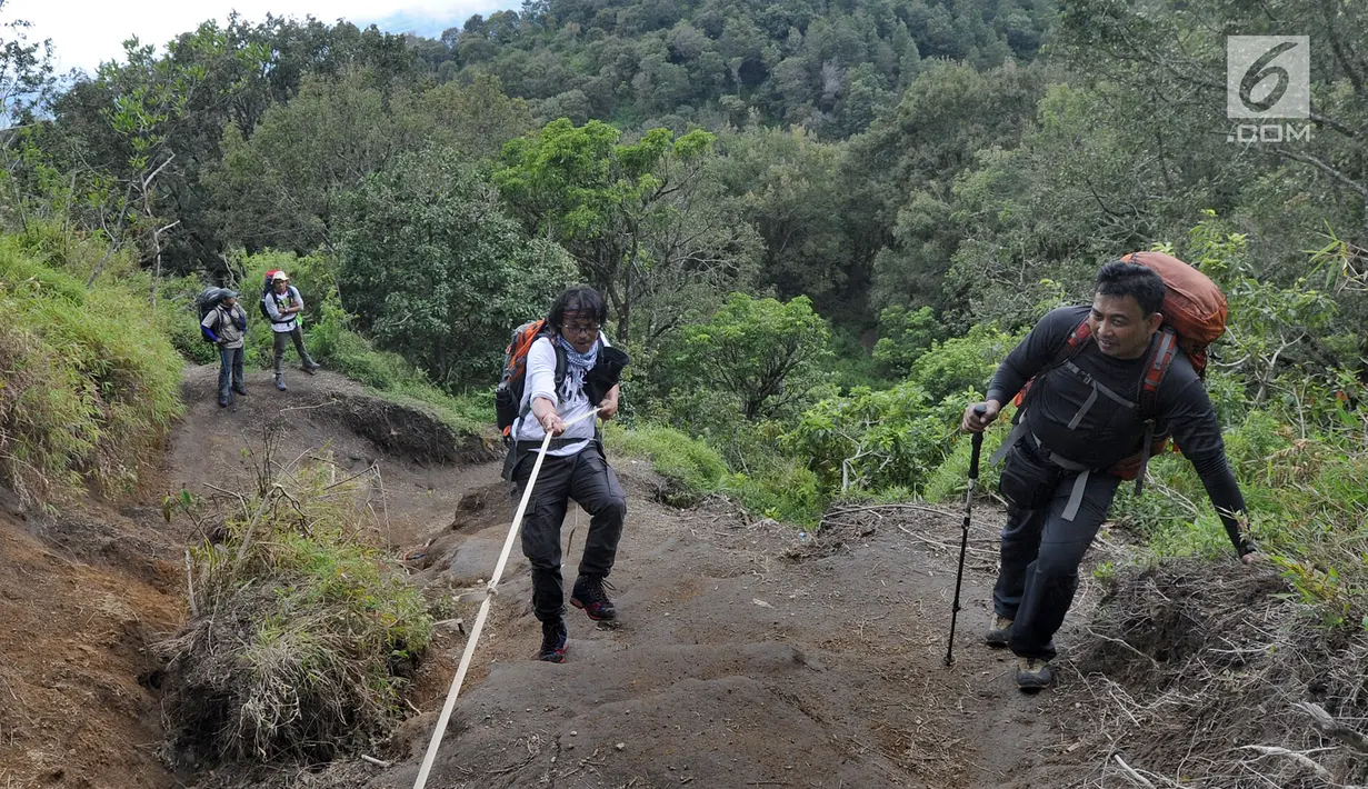 Pendaki mendaki Gunung Merbabu di Selo, Boyolali, Jawa Tengah, Minggu (3/2). Gunung dengan tinggi 3145 mdpl ini dapat ditempuh dengan waktu 7 - 8 jam berjalan kaki. (Merdeka.com/Arie Basuki)