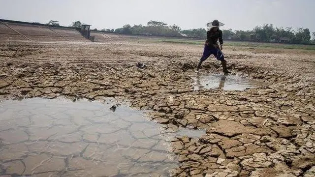 Dampak El Nino