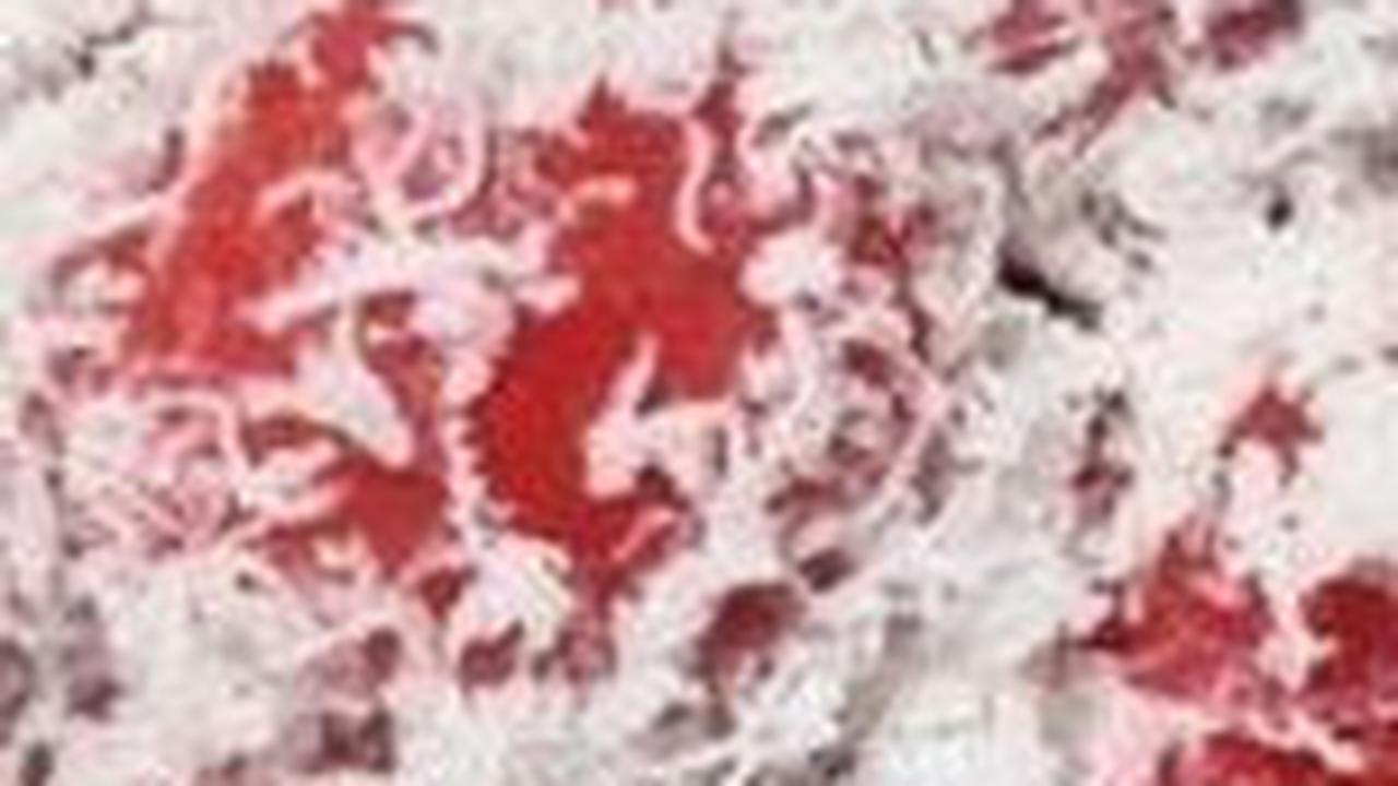 5. Klepon Merah Putih