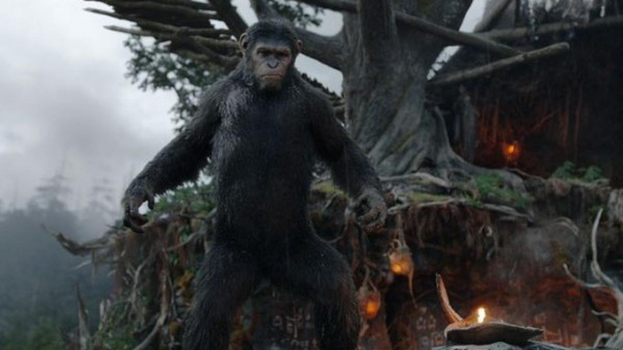 Dari Premiere Dawn of the Planet of the Apes