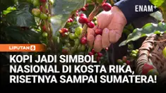 Liputan6.com berkesempatan mengunjungi kebun kopi Hacienda Alsaica di Kosta Rika, Amerika Tengah, sebuah kebun riset yang jadi rujukan dunia berkat penelitian kopinya.