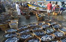 Cara Ampuh Mengurangi Rasa Asin pada Ikan Asin Tanpa Menggunakan Koran