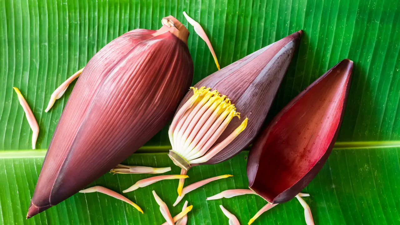 jantung pisang