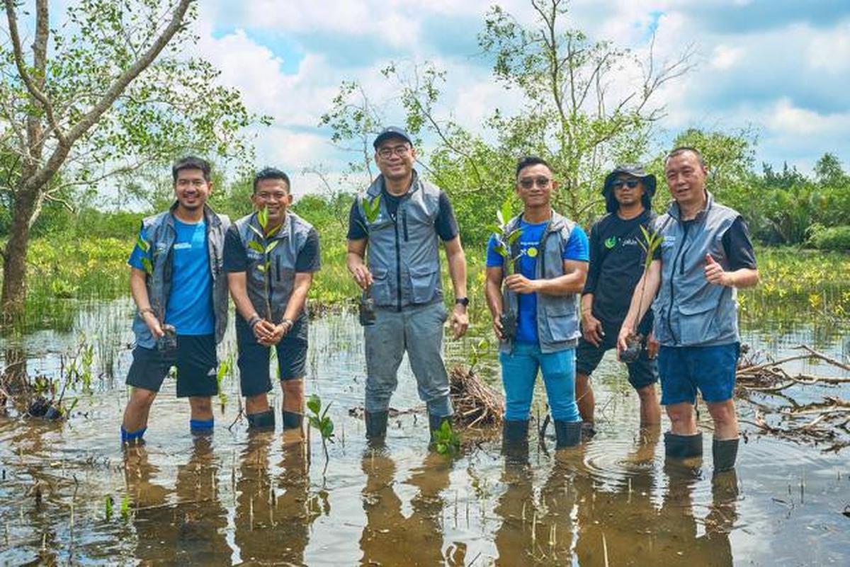 Hari Menanam Pohon Indonesia, Sebanyak 10.500 Mangrove Bakal Ditanam Bertahap di Wilayah Pesisir