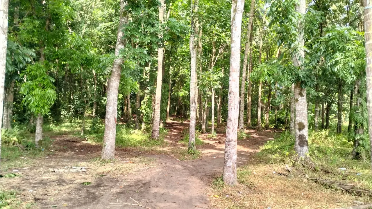 Kondisi jalan di Kampung Lahendong sebelum pelaksanaan TMMD.
