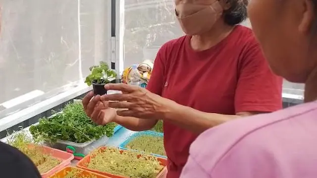 Anggota KWT Mentari saat memberi pelatihan urban farming (sumber: KWT Mentari)