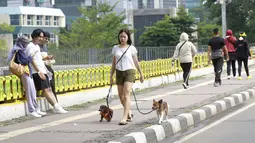 Seorang warga mengajak jalan-jalan anjing peliharaannya saat Car Free Day di Jakarta. (Bola.com/M Iqbal Ichsan)