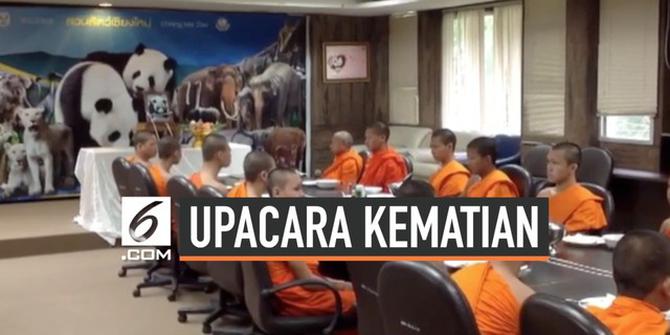 VIDEO: Kebun Binatang Thailand Gelar Upacara Kematian untuk Panda